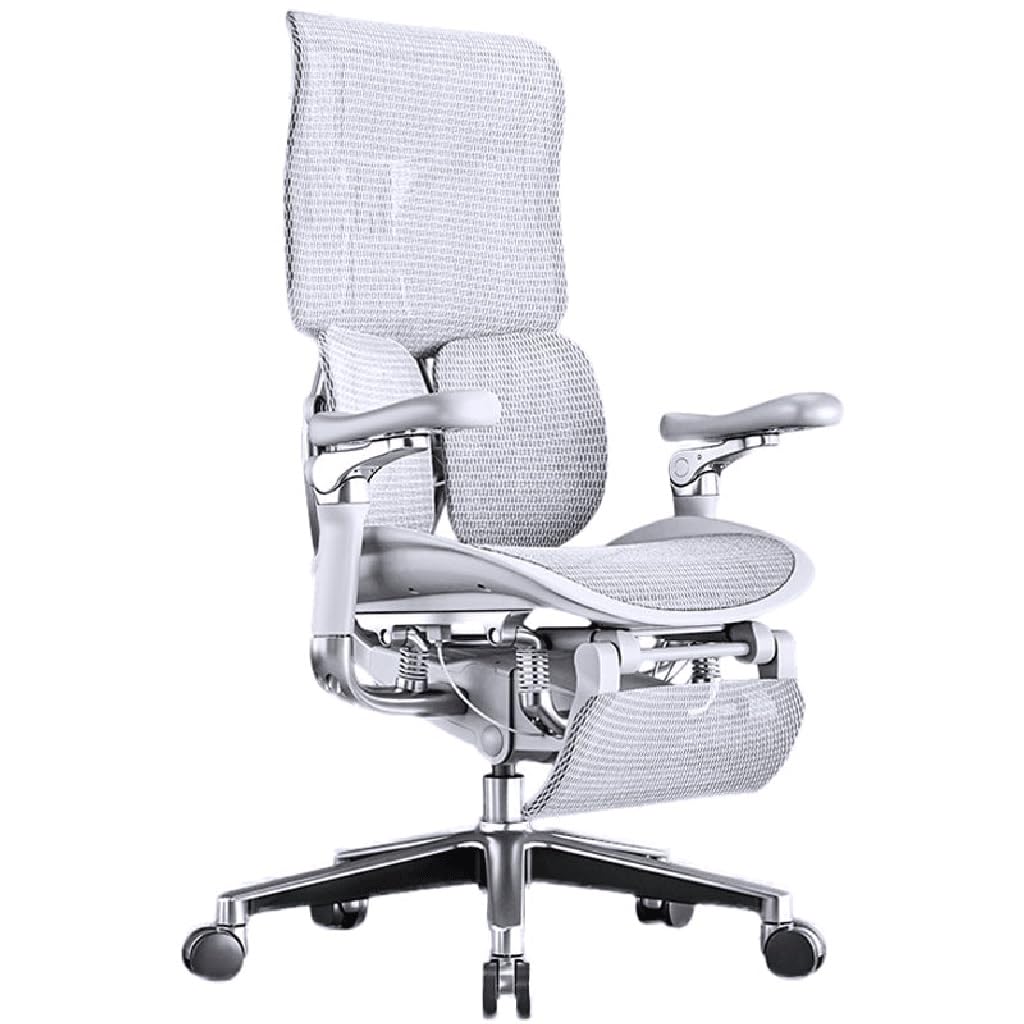 Ergonomic Office Chair with Lumbar Support - Adjustable Executive Desk Chair for Home & Work - Comfortable Mesh Back & Seat for Long Hours Sitting - Perfect for Home Office, Gaming & Workspaces