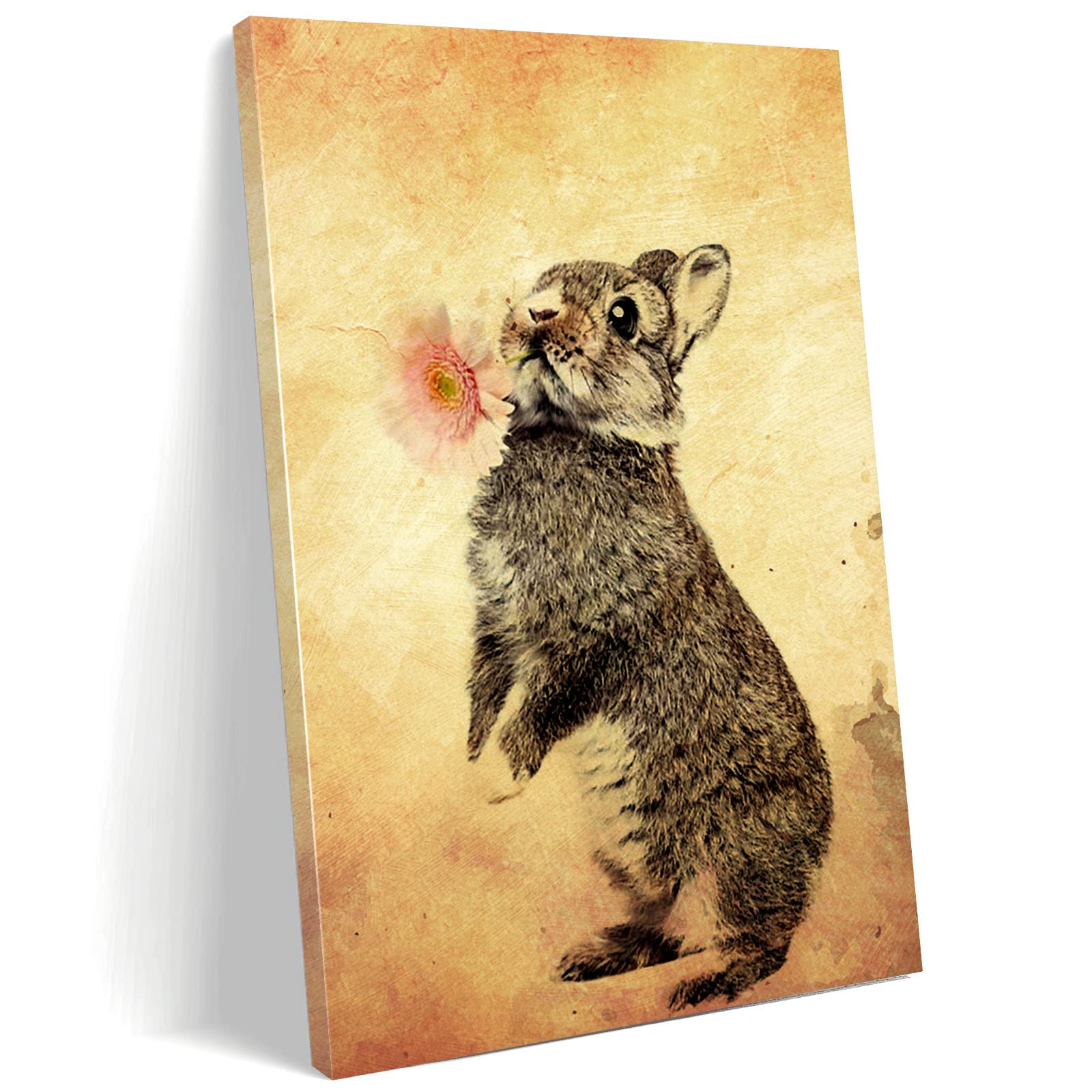 Canvas Wall Art - Bunny Rabbit Nursery Decor for Girls, Farmhouse & Home Decor, Framed Print 12