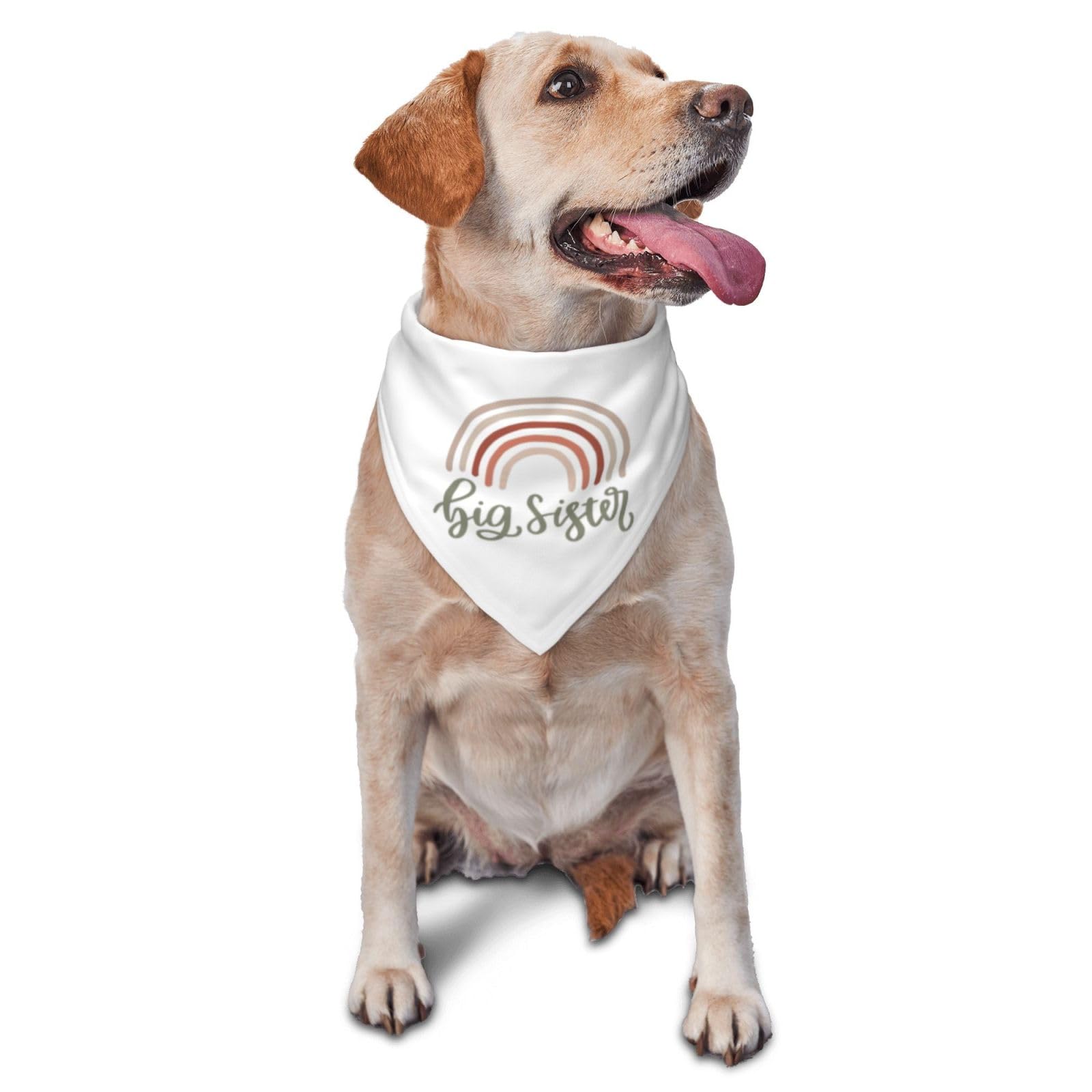 Rainbow Dog Bandanas for Big Sisters - Cute Pet Bandanas for Parties & Costume Accessories - Perfect Gift for Dog Lovers (White) - Great for Birthday Celebrations, Pet Photos & Special Occasions