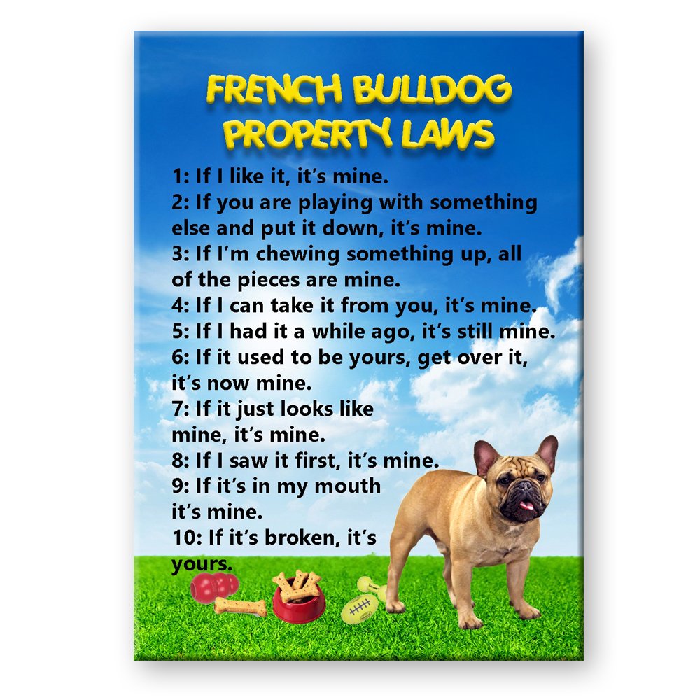 Funny French Bulldog Fridge Magnet - No.3 Property Laws Design - Perfect for Home, Office & Gifts for Dog Lovers