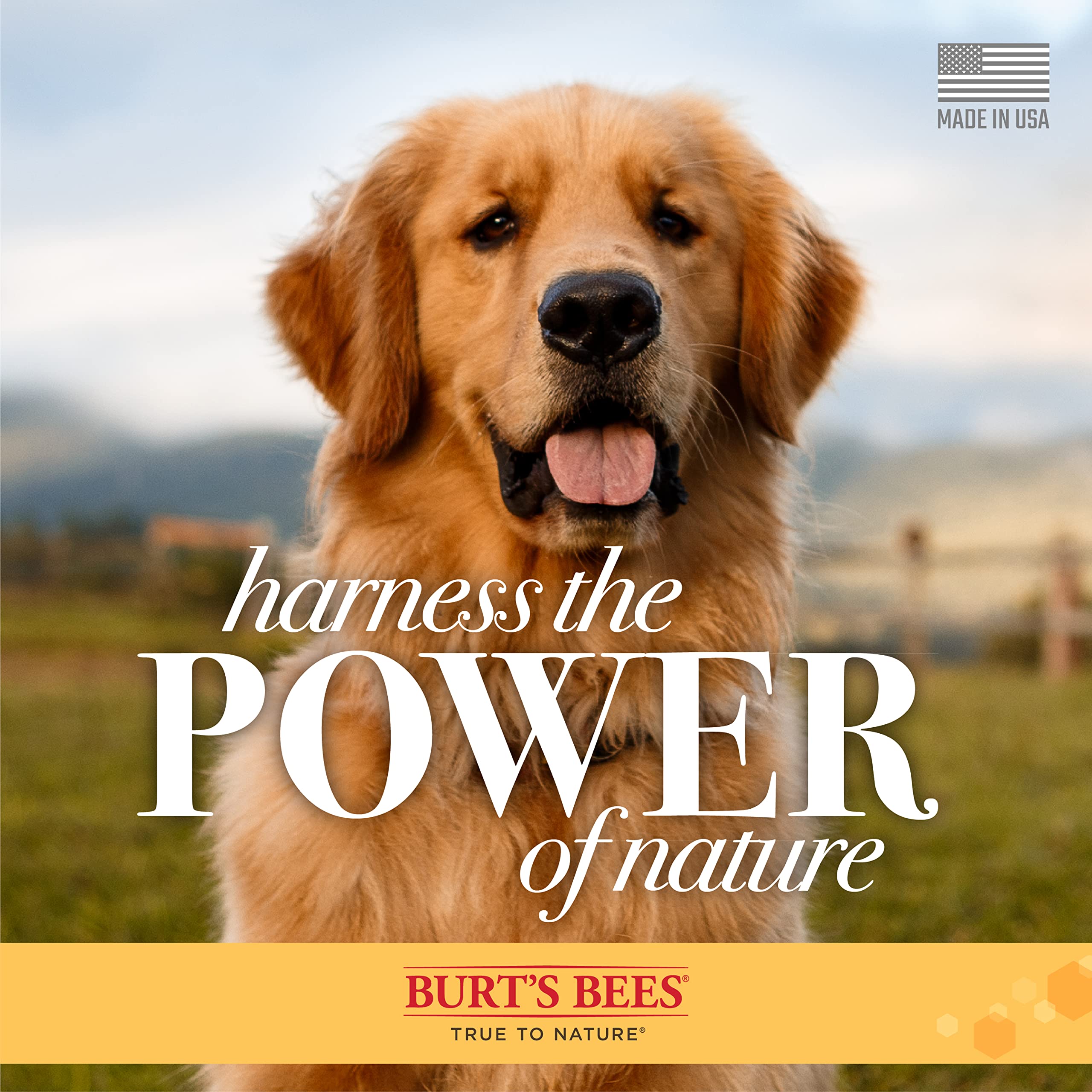 Burt's Bees Natural Dog Ear Cleaner with Peppermint & Witch Hazel – 99.7% Natural Formula, 4 oz (24-Pack) – Gentle Ear Cleaning Solution for Dogs – Perfect for Regular Ear Care & Preventing Infections