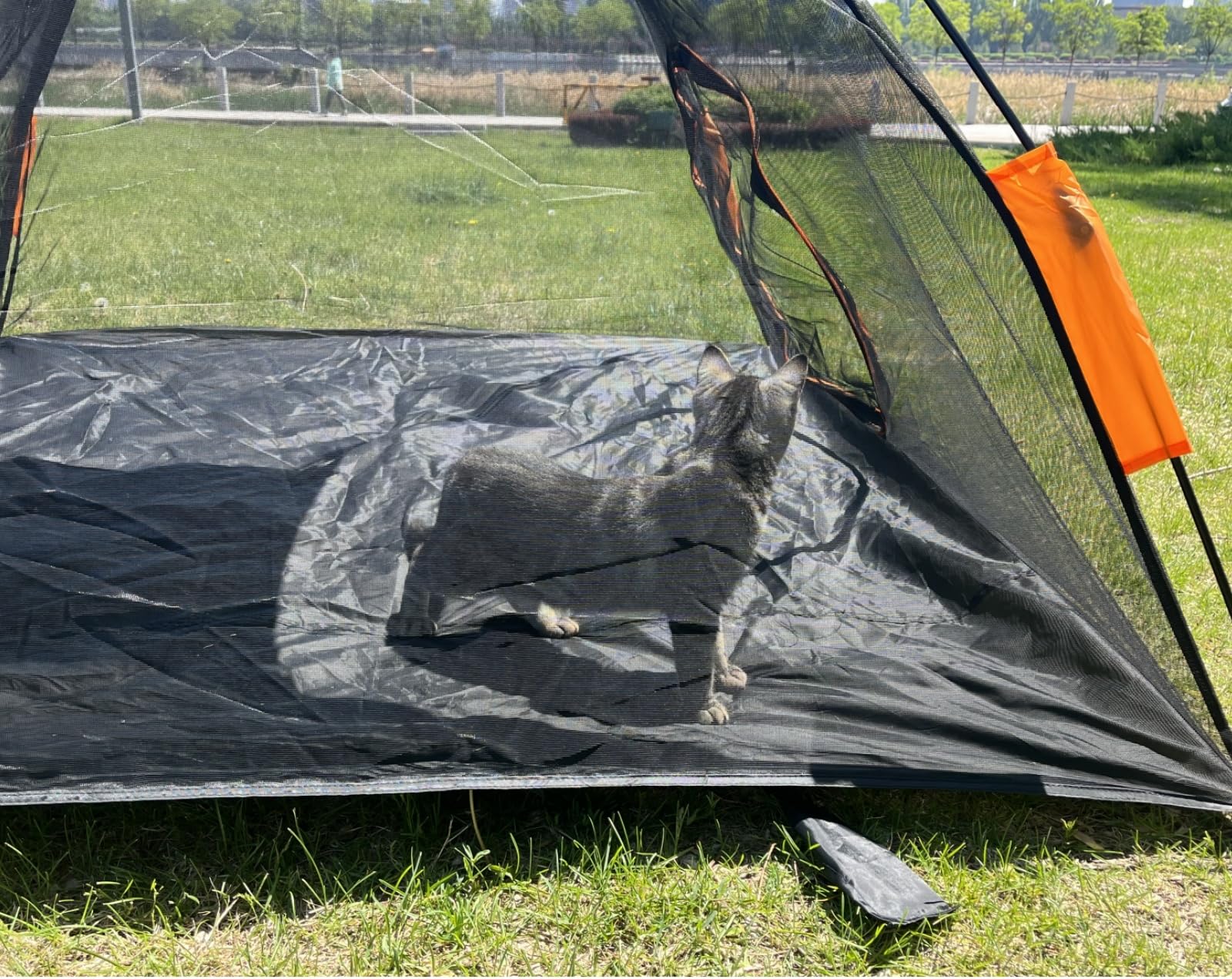 6-in-1 Outdoor Cat Enclosures for Indoor Cats - Large Catio Playground with Portable Tent & Tunnel - Durable Pet Playpen for Cats, Rabbits & Small Pets - Perfect for Backyard, Patio & Garden Adventures