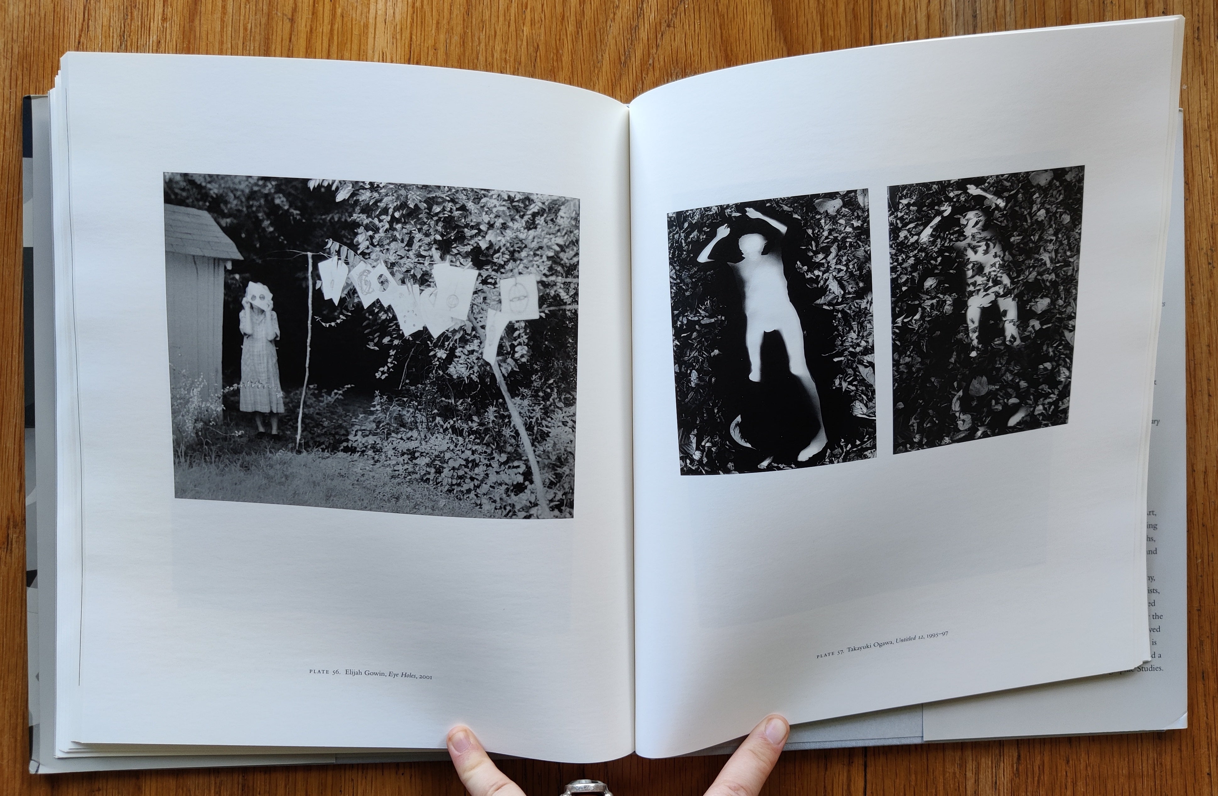 A Shared Elegy - Thoughtful Poetry Book for Grief & Healing | Perfect for Memorials, Funerals & Comforting Loved Ones
