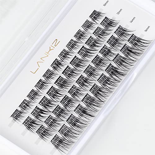LANKIZ 2022 New Cluster Lashes - DIY Individual Eyelash Extension Wisps for Home Use - Featherlight Synthetic Reusable False Lashes Multipack - Soft Faux Mink Lash Clusters (Beauty, 10-16mm, C Curl) - Perfect for Daily Wear, Cosplay, and Special Occasions