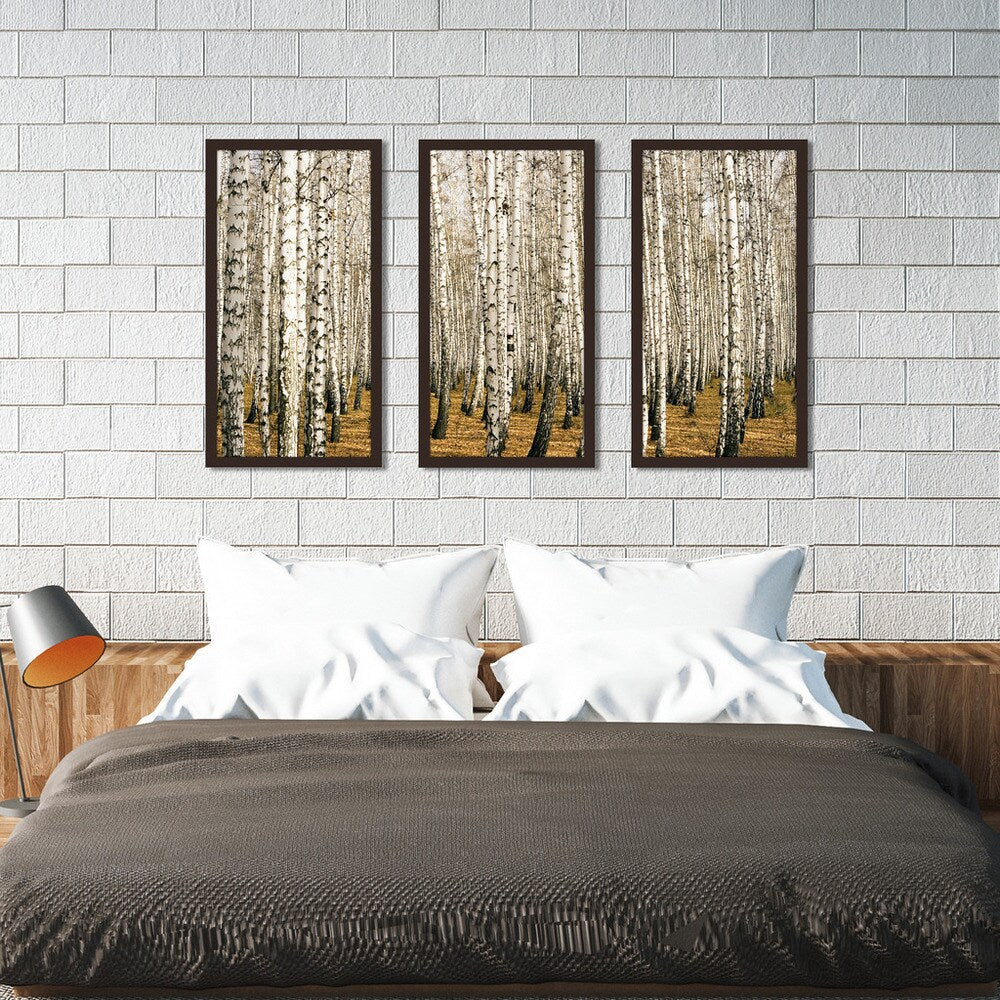 Birch Trees Wall Art Set of 3 - Modern Framed Plexiglass Prints for Living Room, Bedroom & Office Decor | Nature-Inspired Home Decorations