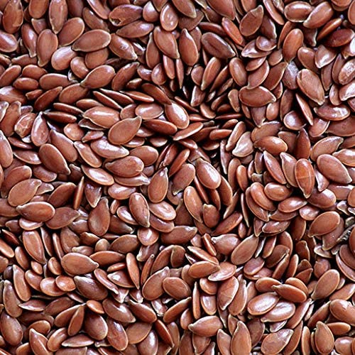 Organic Flax Seed Powder (500g) - High in Protein & Omega 3 | Aali Vidhai Alsi Powder for Hair Growth & Heart Health | Gluten-Free Superfood for Smoothies, Baking & Healthy Diet