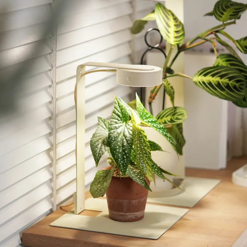 ONF MIST O Magnetic LED Plant Light for Indoor Gardening - Grow Healthy Herbs, Succulents & Houseplants with Full Spectrum Lighting