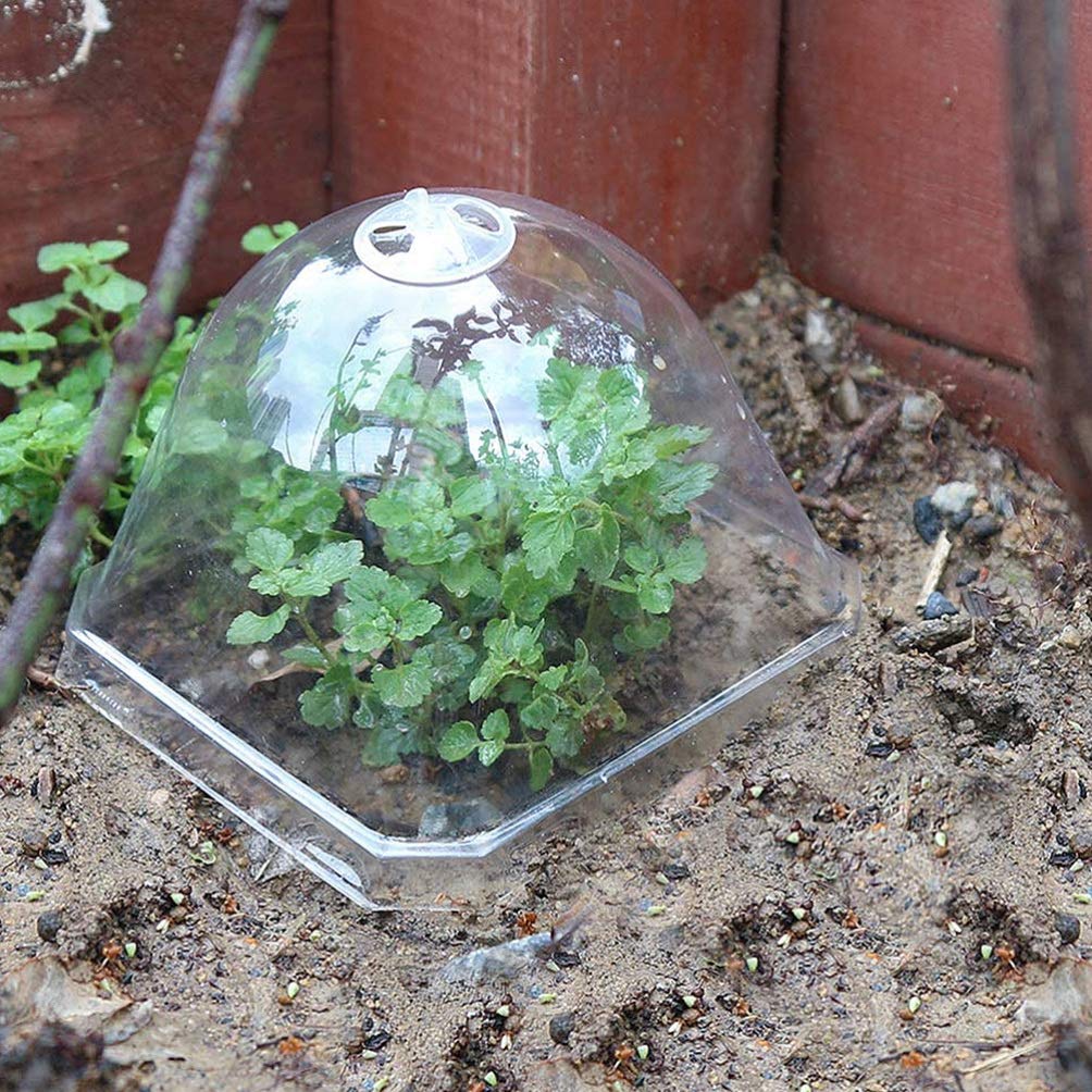 DOITOOL 15pcs Transparent Plastic Plant Dome Covers - Mini Greenhouse Flower Pot Covers, Plant Protectors & Nursery Hoods for Indoor/Outdoor Gardening | Perfect for Seedlings, Succulents & Plant Protection