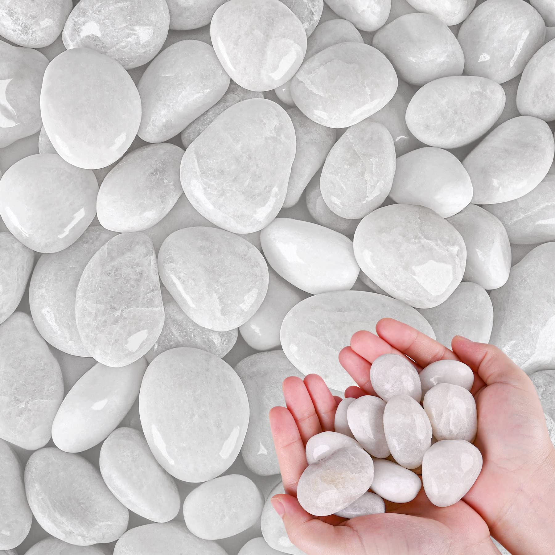 Premium White River Rocks for Plants - 11.25 LB Small Decorative Pebbles (1