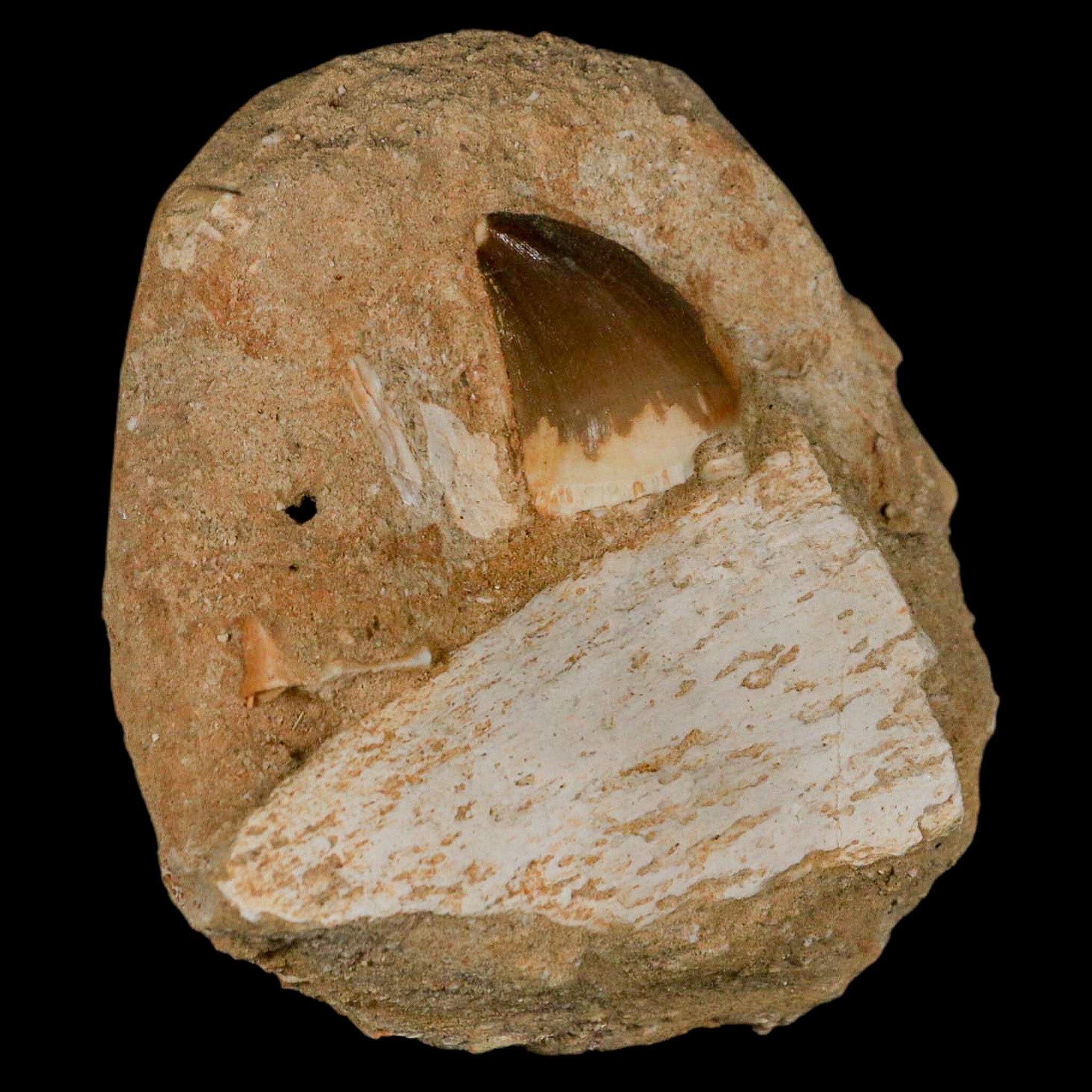 2.6