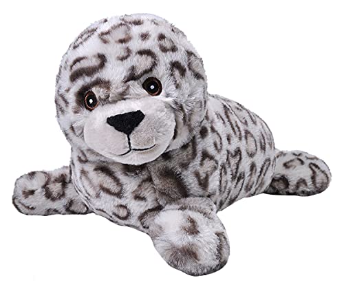 Harbor Seal