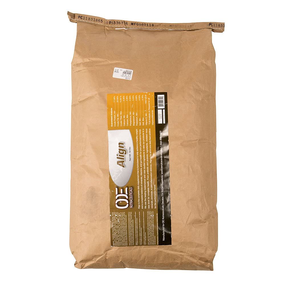 Align 45lb Bag - Heavy Duty Storage Solution for Home, Office & Travel | Durable & Portable for Gym, Camping & Moving Supplies