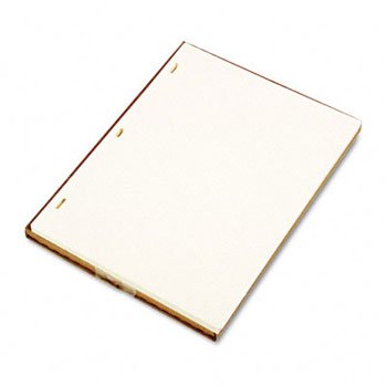 Wilson Jones Minute Book Refill Ledger Sheets - 100 Sheets per Pack (Pack of 2), Blue, RFL-F/0395-11 - Perfect for Office Organization, Meeting Minutes & Financial Record Keeping