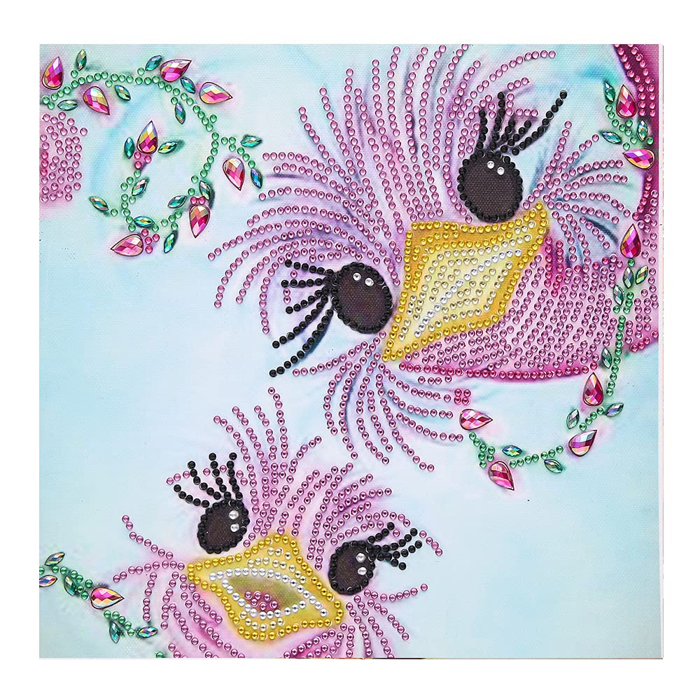 DIY Diamond Painting Kit - Special-Shaped Crystal Rhinestone Art for Home Wall Decoration (Two Bird Heads 30x30cm) - Perfect for Stress Relief, Creative Gifts & Living Room Decor