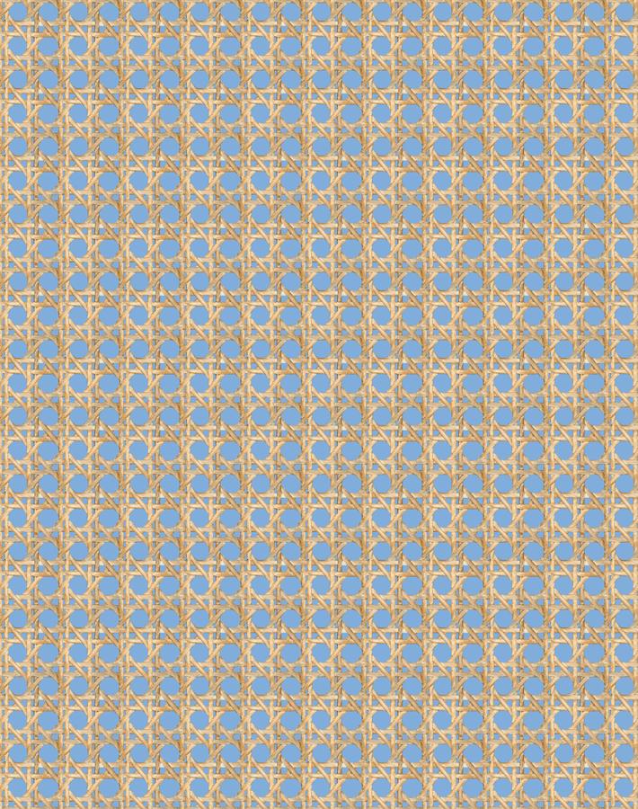 Wallshoppe Faux Caning Wallpaper - Stylish Denim Textured Peel and Stick Wallpaper for Living Room, Bedroom & Home Decor