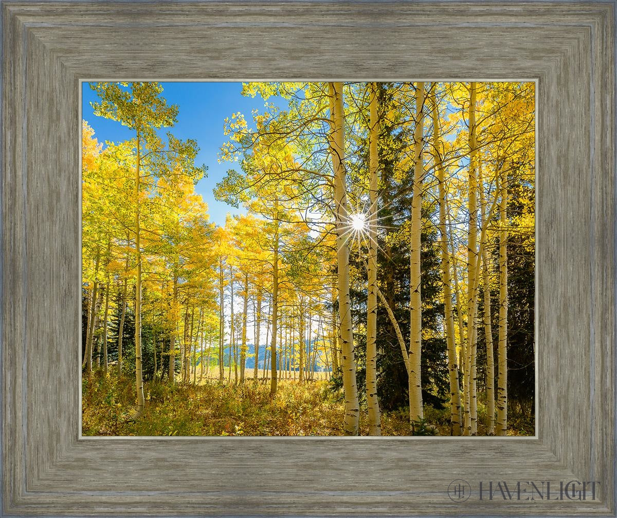 Autumn in the Rocky Mountains - Stunning Fall Foliage at Wasatch National Forest Utah | Perfect for Hiking, Photography & Nature Exploration