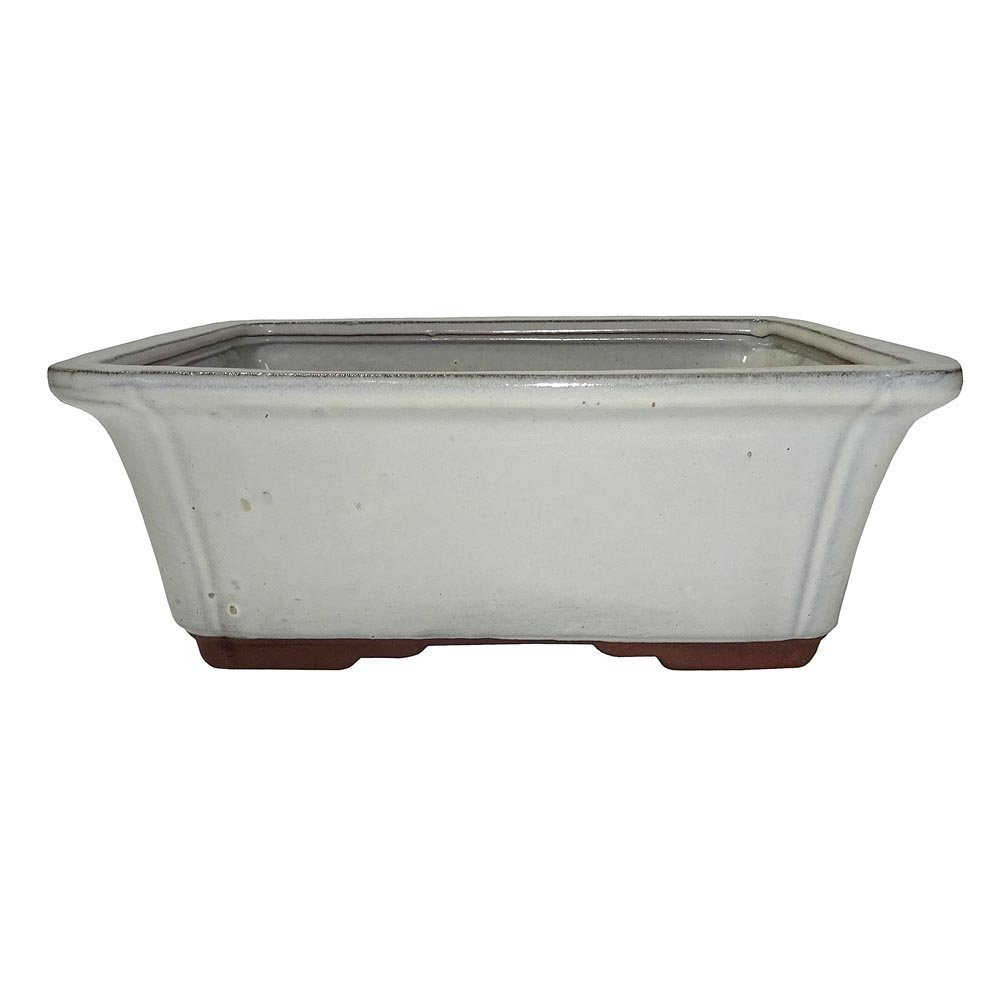 Brussel's 10 Inch Large Rectangle Bonsai Pot - Glazed Ceramic Planter in New Cream Color for Indoor Plants, Zen Garden Decor, and Japanese Style Home Décor