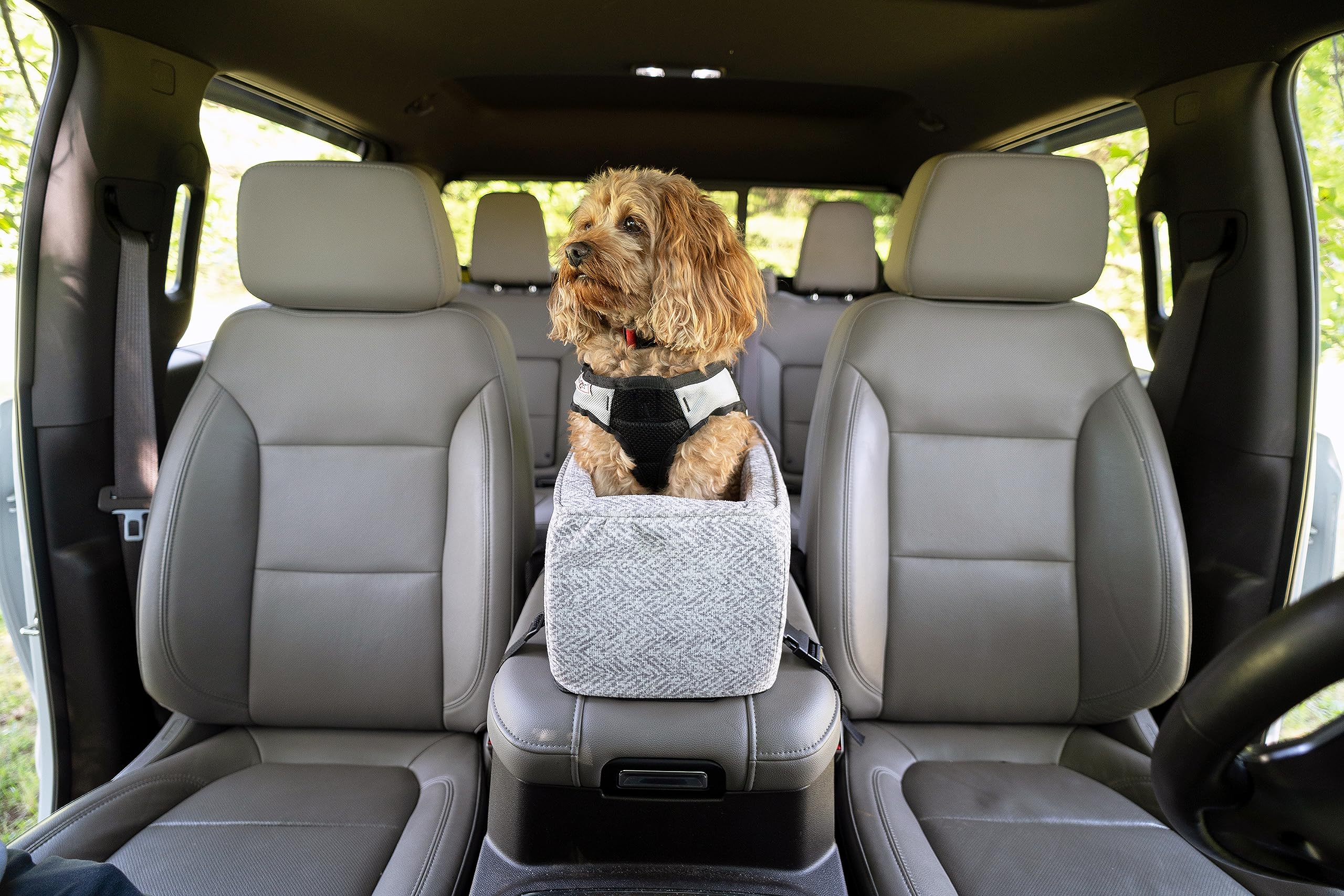 **Snoozer Small Dog Car Seat for Travel - Pet Carrier Bed for Dogs Up to 7 lbs | Safe & Calm Travel with Seat Belt Harness Strap | Removable Machine-Washable Palmer Dove Cover | Perfect for Road Trips & Vet Visits**