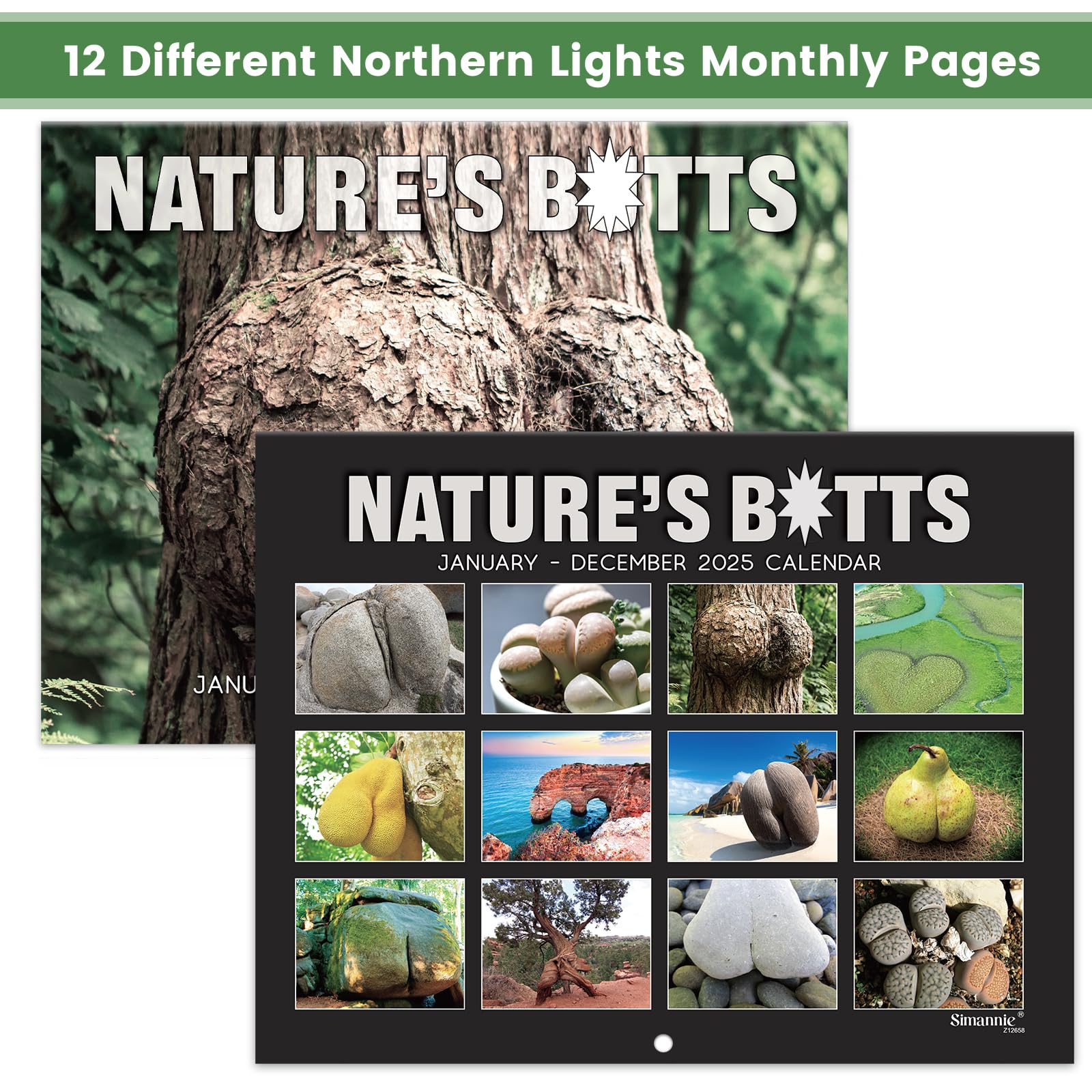 Funny 2025 Wall Calendar - White Elephants Nature's Butts | Thick Paper 8.5