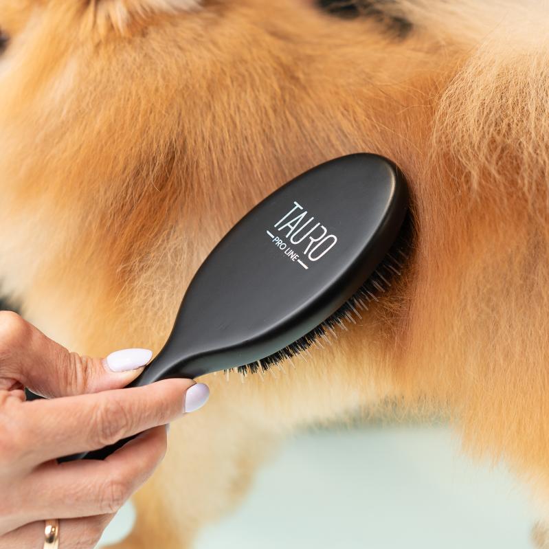 Tauro Pro Line Hair Brush - Beech Wood Handle with 0.6 Inch Boar Bristles & Nylon Teeth - Black Oval Hairbrush for Smoothing, Detangling & Styling - Perfect for Home, Salon & Travel Use