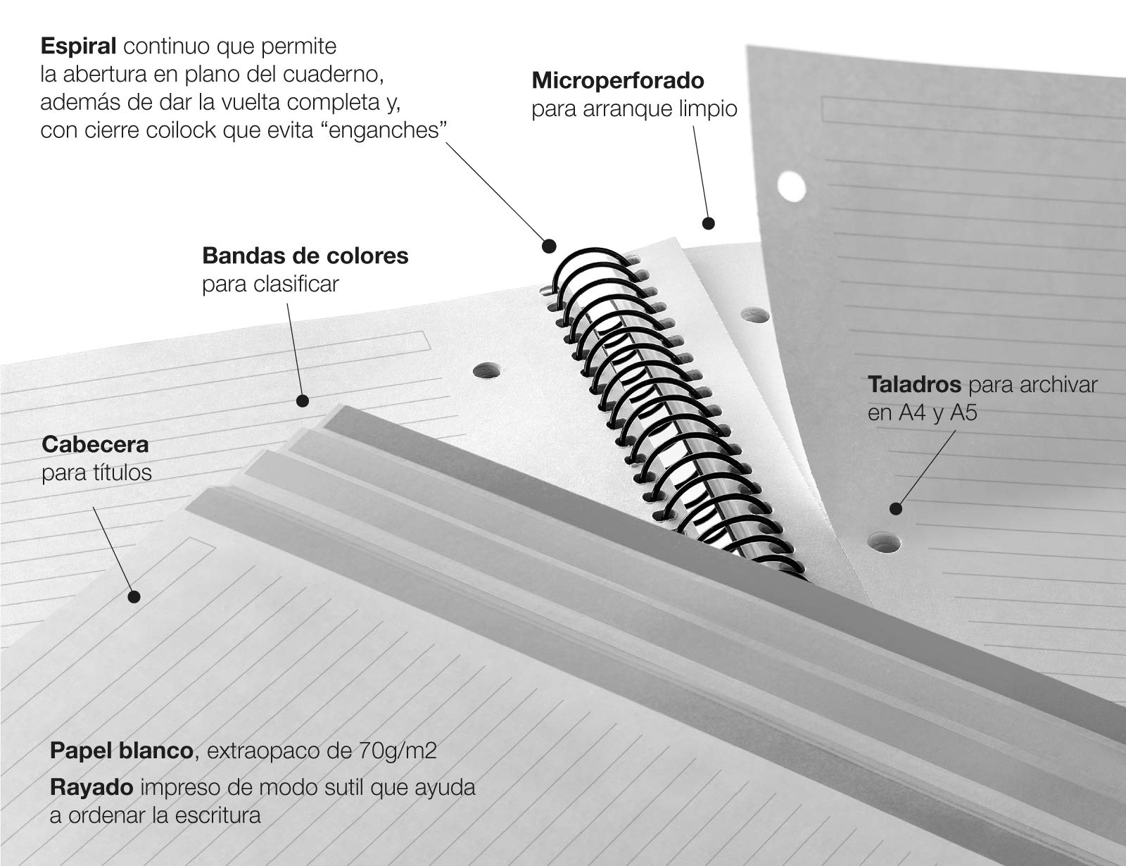 Miquel Rius 2135 Spiral Notebook - 8.5