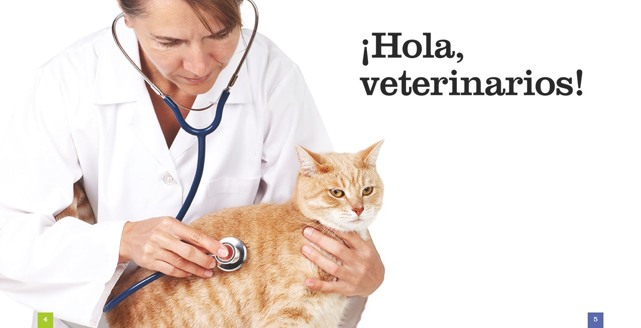 Veterinary Supplies & Equipment for Pets - Vet Clinic & Animal Hospital Essentials | Shop Now for Professional Veterinary Tools & Accessories
