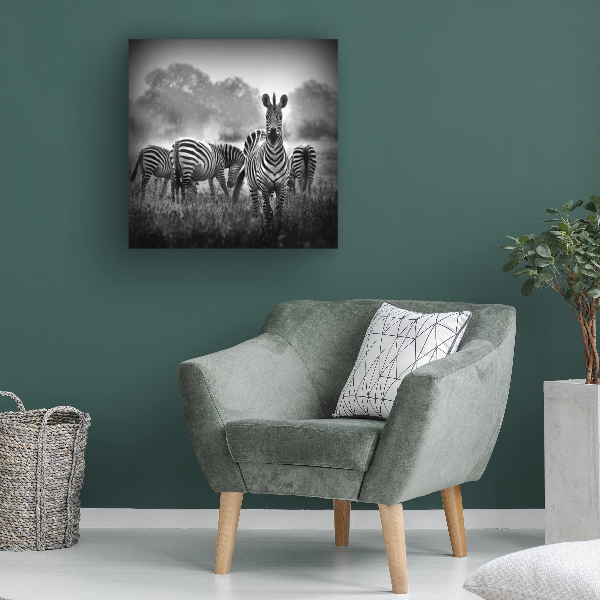WildPhotoArt 'Stallion In A Pin Stripe Suit' Canvas Wall Art Print - Modern Equestrian Home Decor for Living Room, Bedroom & Office