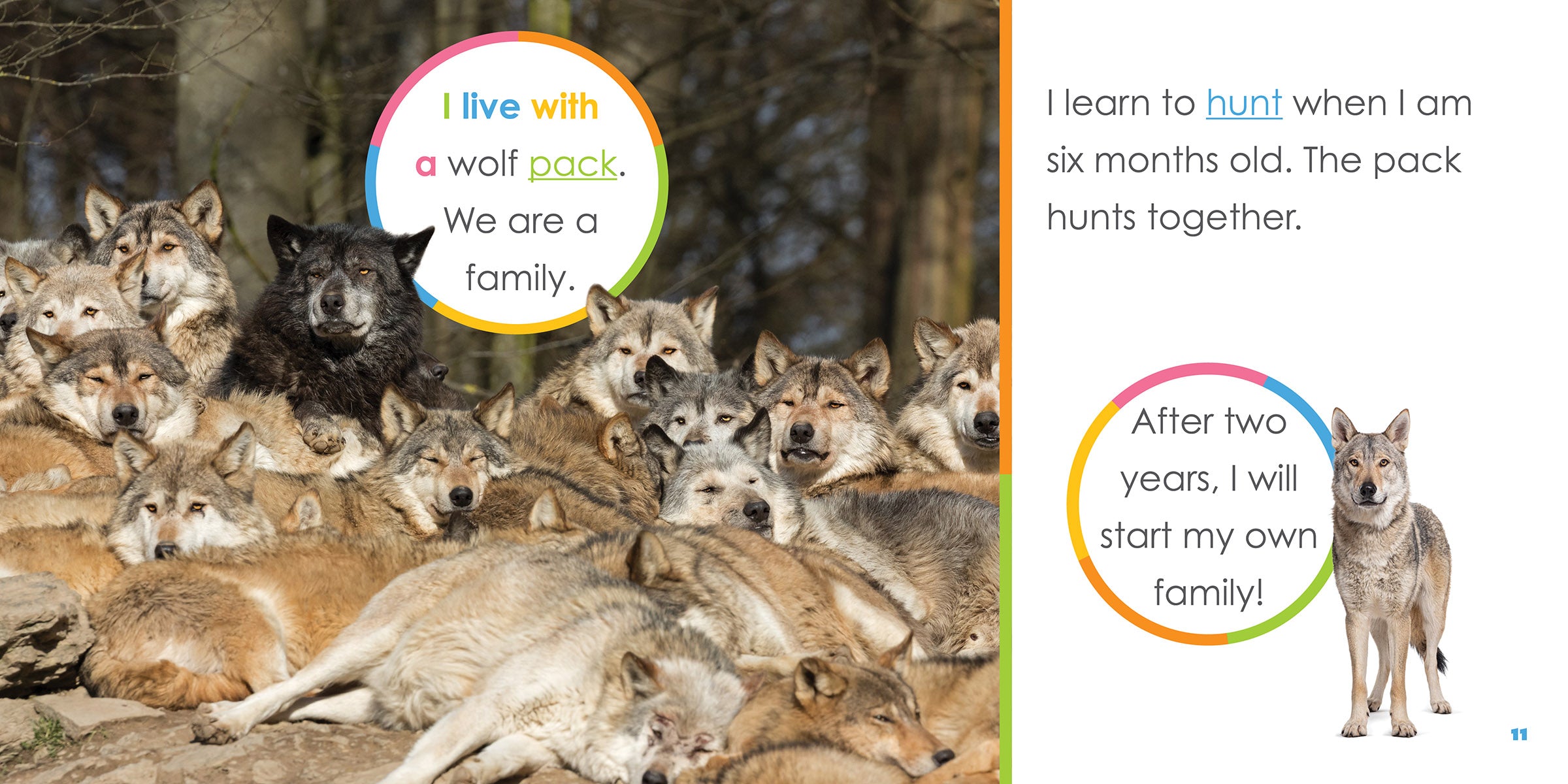 Baby Wolves Starting Out - Adorable Wolf Plush Toys for Kids & Collectors | Perfect for Nursery Decor, Gifts, and Animal Lovers