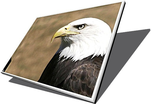 ASUS X53SD SX535X Series 15.6