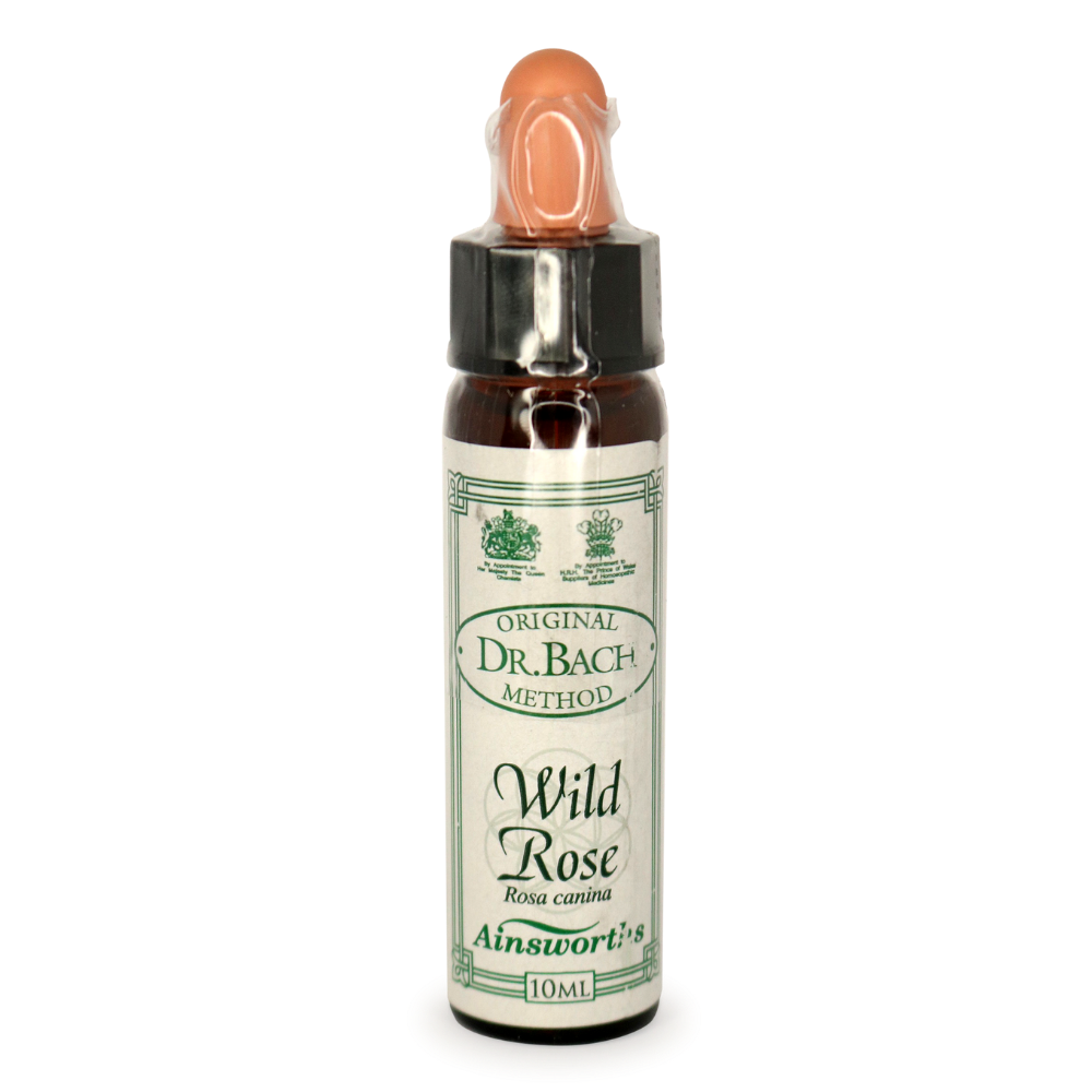 Wild Rose Bach Flower Remedies by Ainsworths - Natural Emotional Support for Stress Relief & Motivation - Perfect for Aromatherapy, Meditation & Daily Wellness