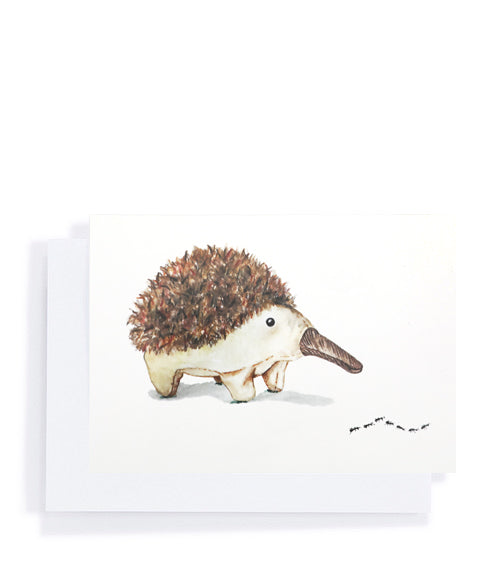 Spike the Echidna Gift Card - Perfect for Sonic Fans, Gaming Enthusiasts & Collectors | Great for Birthdays, Holidays & Special Occasions