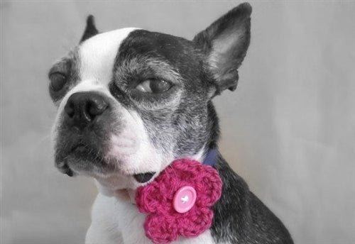 Handmade Crochet Dog Collar Flower - Multi-Layer Pet Accessory in Various Colors for Small & Medium Dogs - Perfect for Pet Weddings, Photo Shoots & Daily Walks