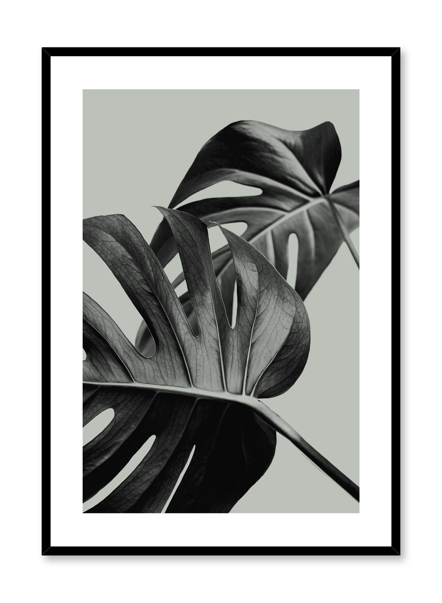 Green Overlap Poster - Modern Abstract Wall Art for Home, Office & Classroom Decor