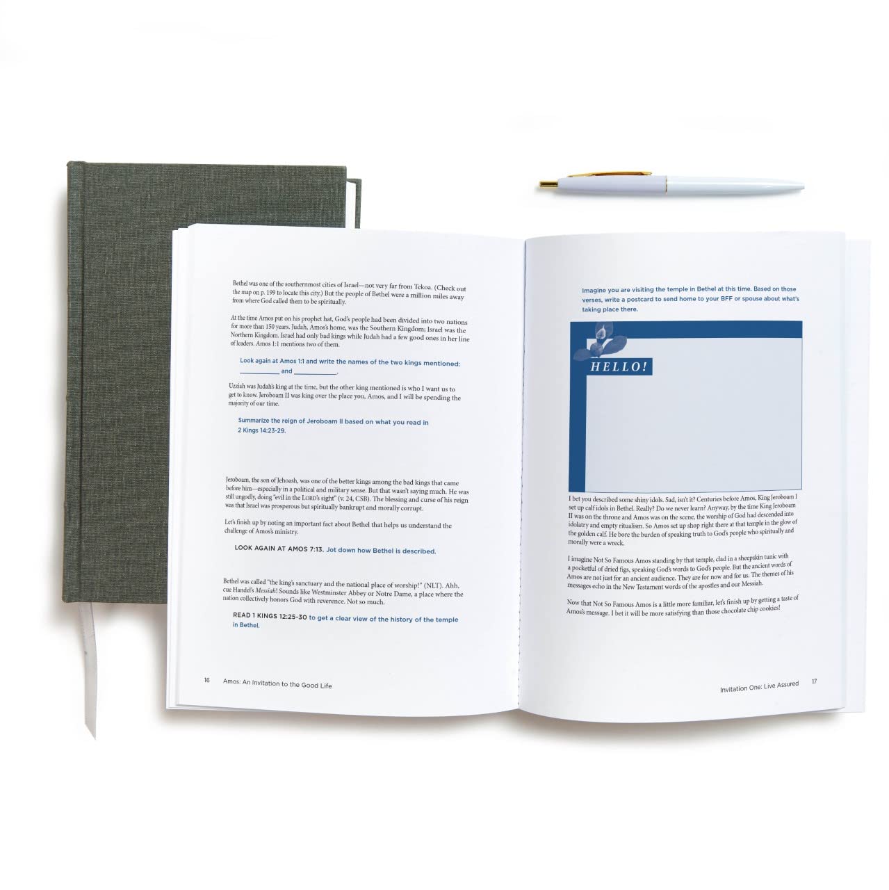 Amos - Bible Study Book with Video Access: Discover the Good Life | Christian Devotional Guide for Small Groups & Personal Reflection
