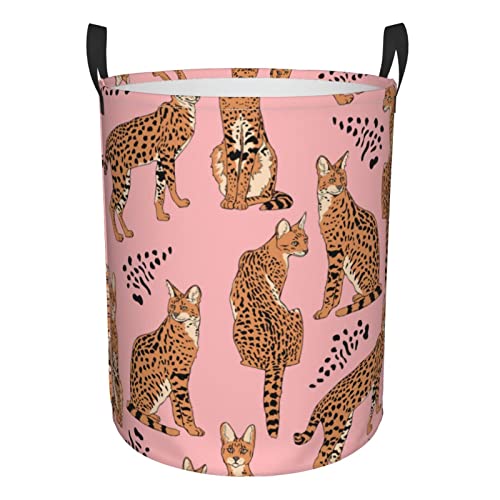 African Wild Cats