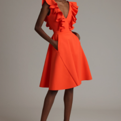 Greta Constantine Ogier Women's Elegant Cocktail Dress - Perfect for Evening Parties, Weddings & Special Occasions