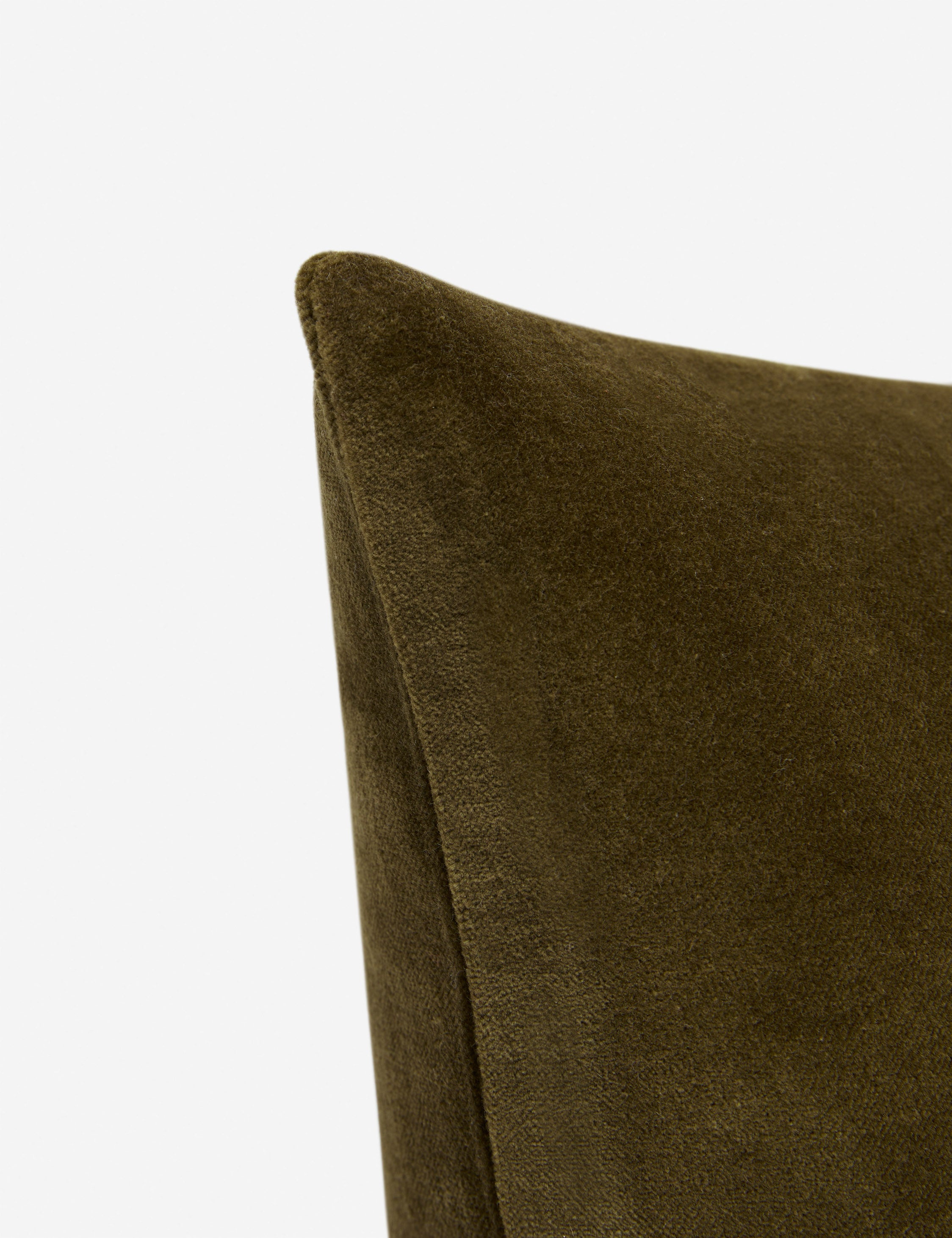 Charlotte Velvet Pillow - Luxury Soft Decorative Throw Pillow for Sofa, Bed & Couch - Elegant Home Decor & Comfortable Living Room Accessory