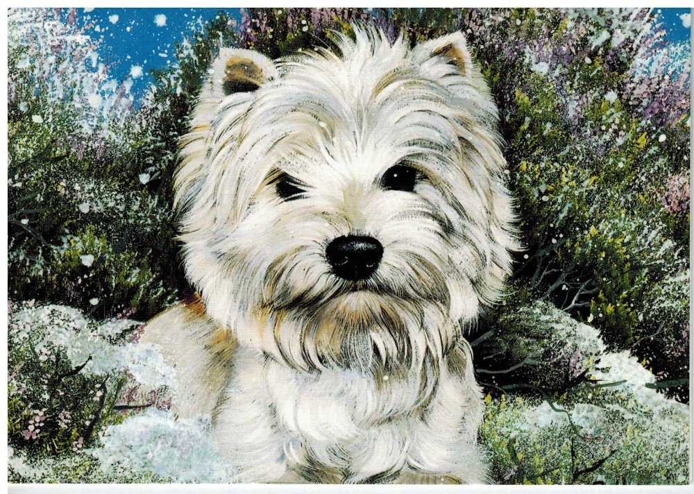 West Highland Terrier Christmas Cards - Set of 3 Festive Holiday Greeting Cards with Cute Westie Dog Design | Perfect for Christmas Gifts, Holiday Wishes & Pet Lover Greetings