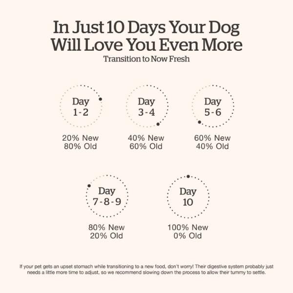 Now Fresh Grain-Free Small Breed Adult Dry Dog Food - Chicken Recipe with Gravy | Perfect for Indoor & Outdoor Active Dogs