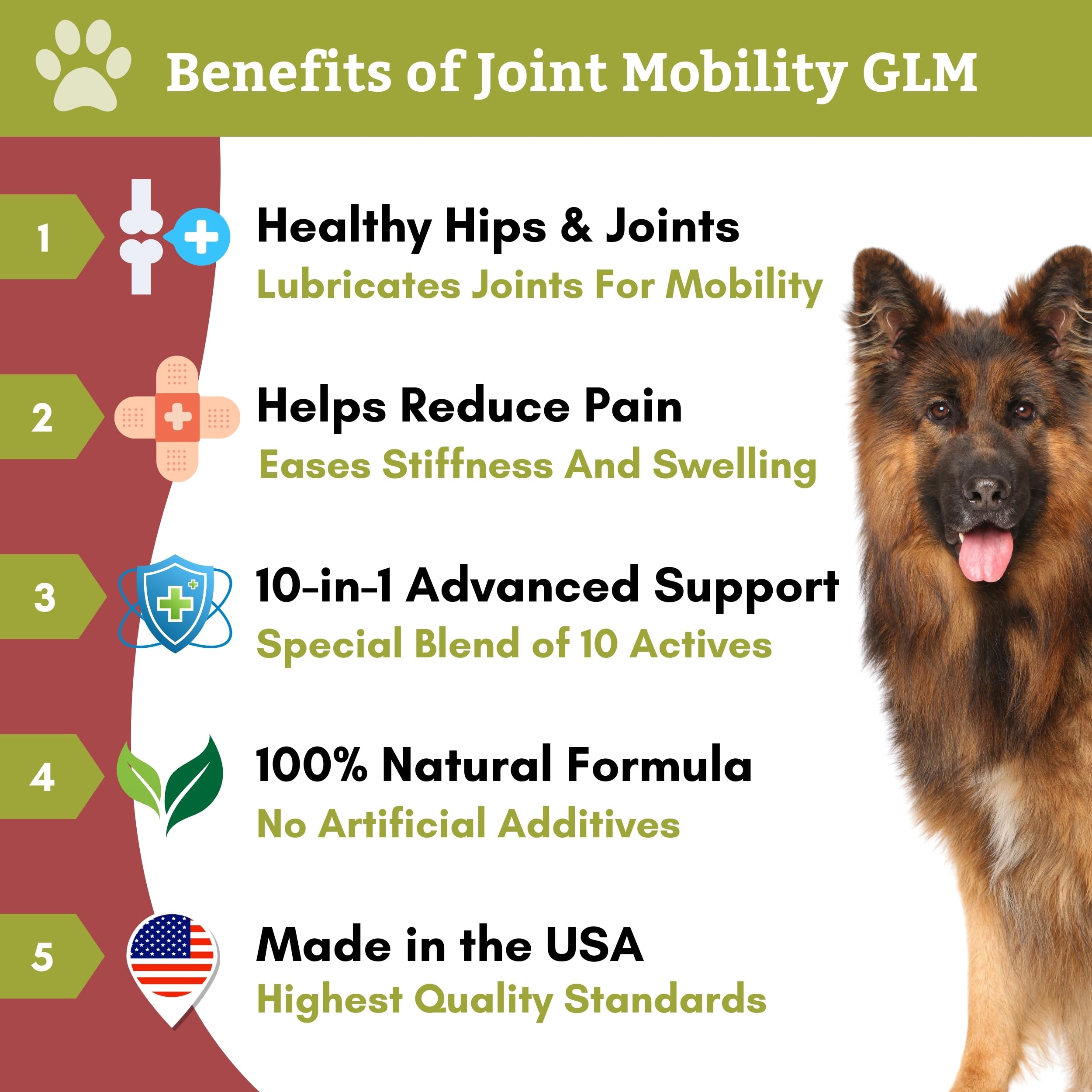Wholistic Pet Organics Joint Mobility GLM for Dogs - 2 Lb Glucosamine & Chondroitin Supplement with Green Lipped Mussels - Dog Joint Support for Arthritis Pain Relief in Large & Small Breeds - Supports Active Lifestyle & Mobility