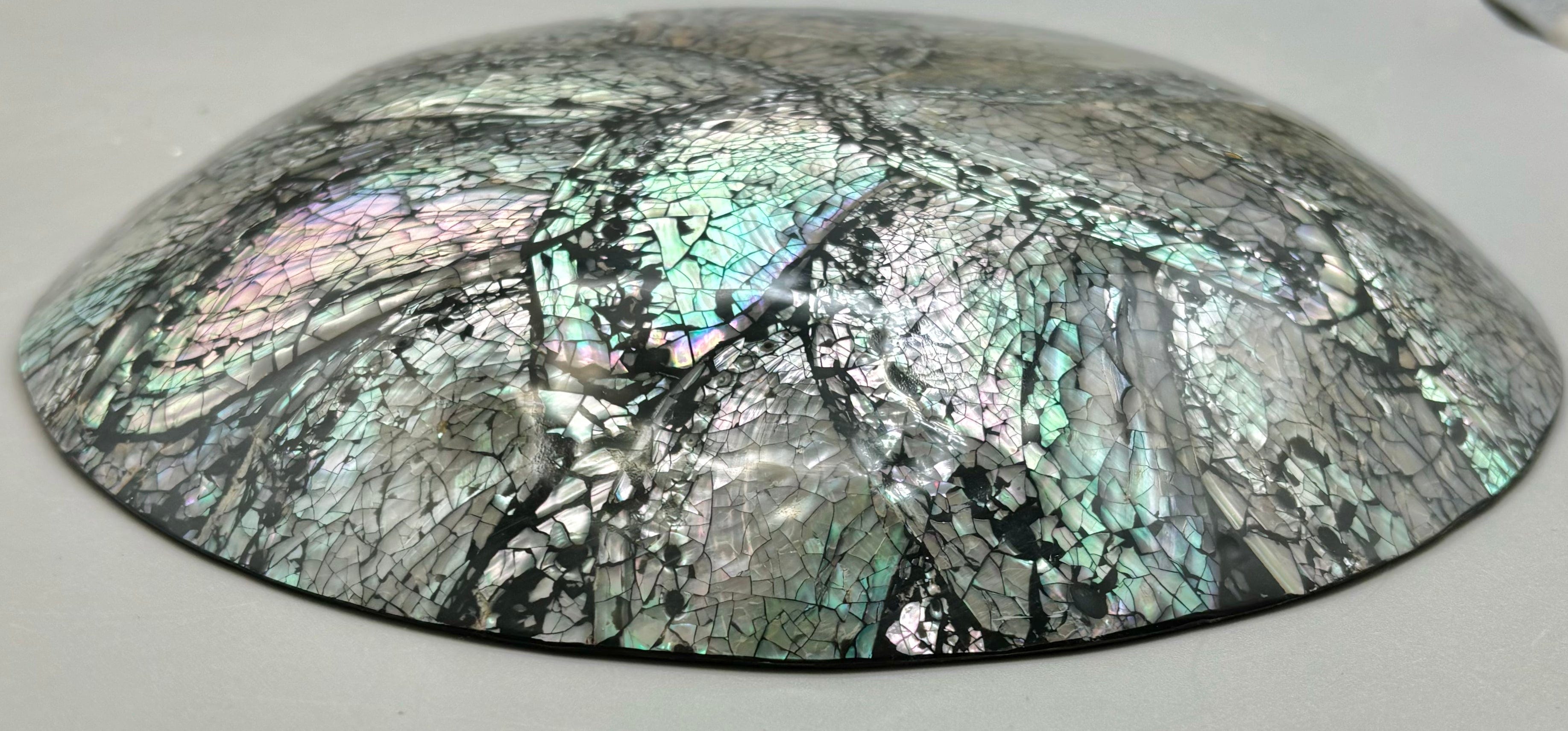 Premium Australian Abalone Shell Plate - Medium Size for Serving Sushi, Seafood & Appetizers | Eco-Friendly Natural Shell Dish for Restaurants, Parties & Home Decor