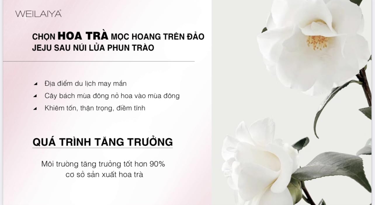 WEILAIYA White Tone-Up Body Cream with SPF30 PA+++, Niacinamide & Glutathione - 200g/7.04oz | Brightening, Moisturizing & Sun Protection | Perfect for Daily Skincare & Summer Use