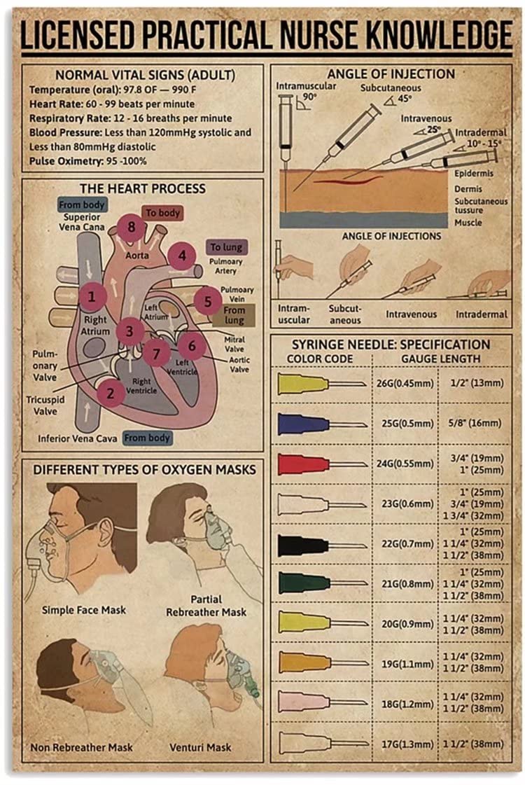 Licensed Practical Nurse Knowledge Canvas Print - Vintage Medical Wall Art for Hospital Decor, Classroom & Office - 12x18 Inch Educational Poster | Perfect for Healthcare Professionals & Nursing Students