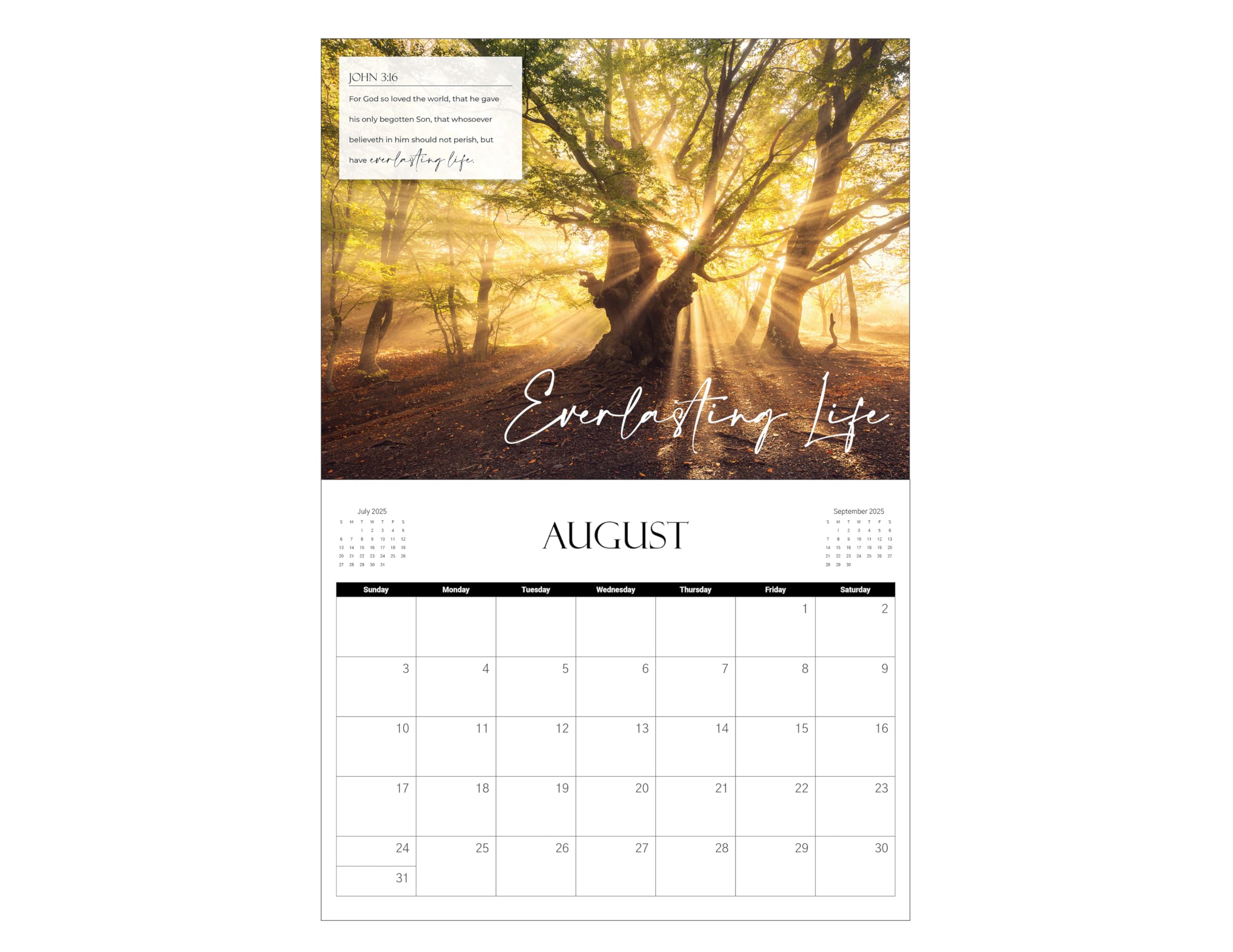 Be Not Afraid Bible Verse Wall Calendar 2025 - Inspirational Christian Planner with Scripture Quotes - Perfect for Home, Office & Church Decor