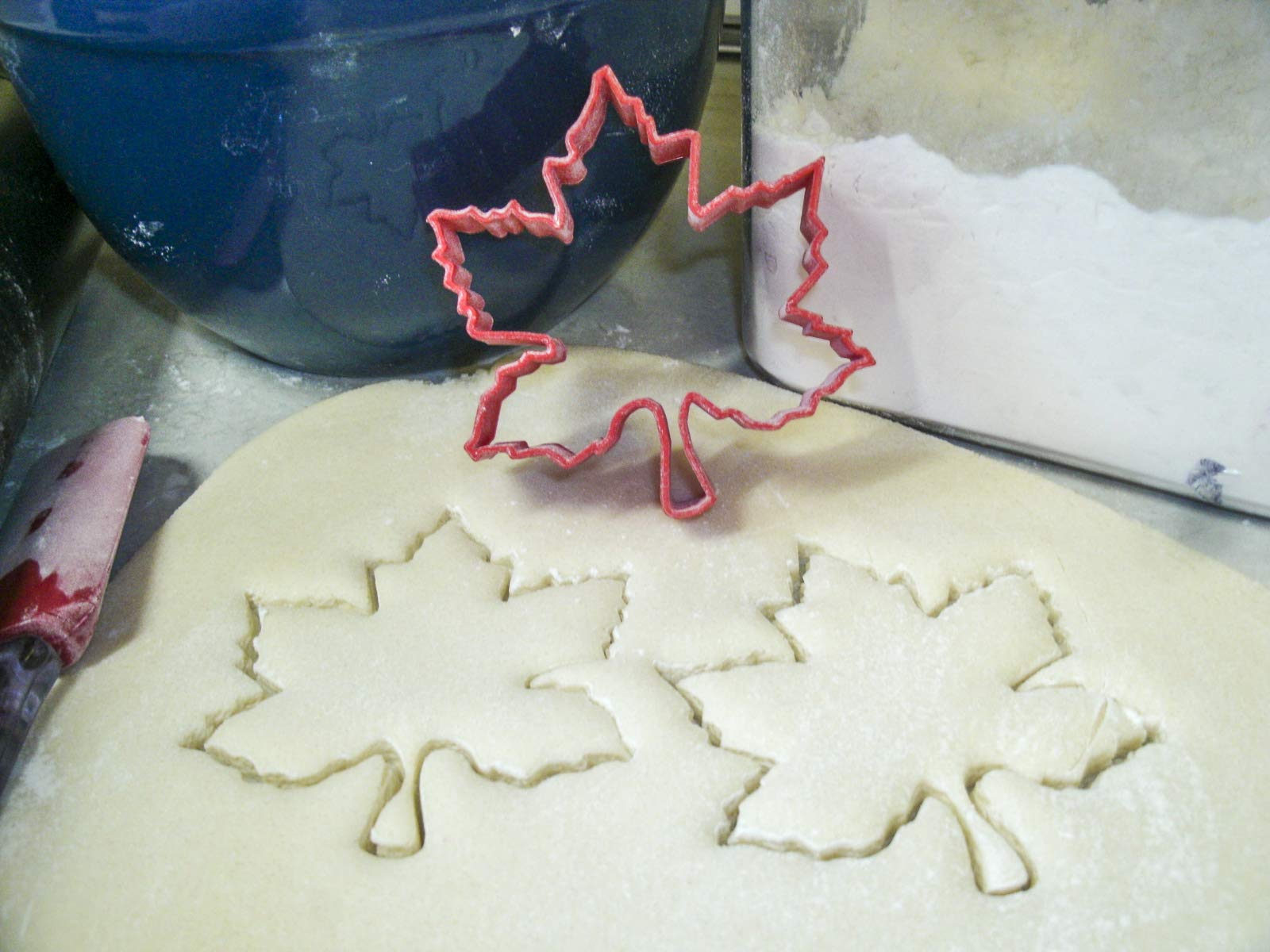 Set of 5 Leaf & Tree Cookie Cutters - Forest Foliage Shapes - Made in USA - PR1526 - Perfect for Baking, Cake Decorating & DIY Crafts
