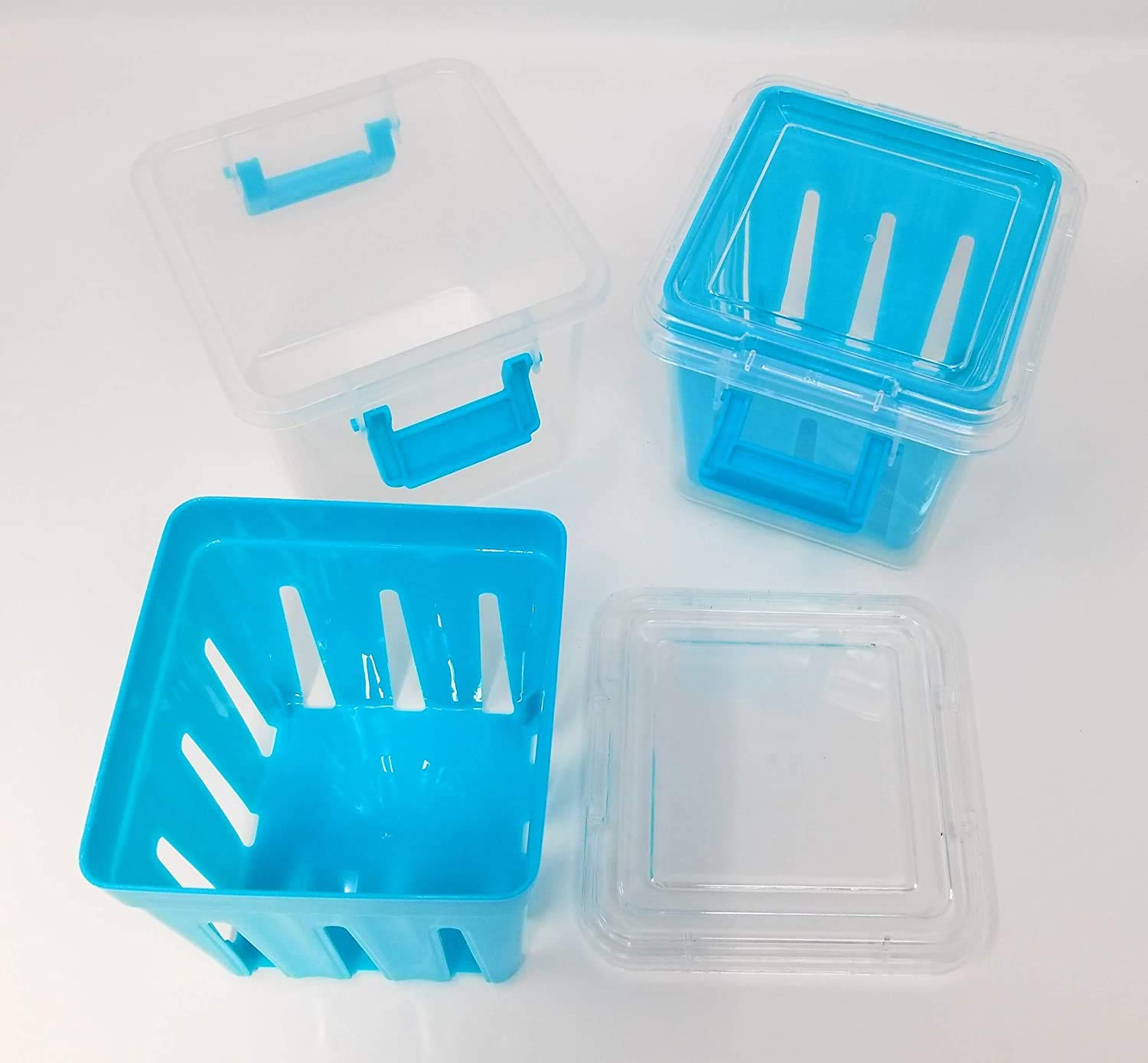 BPA-Free 2-Pack Fruit and Vegetable Storage Containers | Airtight Food Keepers for Fresh Produce | Perfect for Kitchen, Fridge & Meal Prep (Teal/Light Blue)
