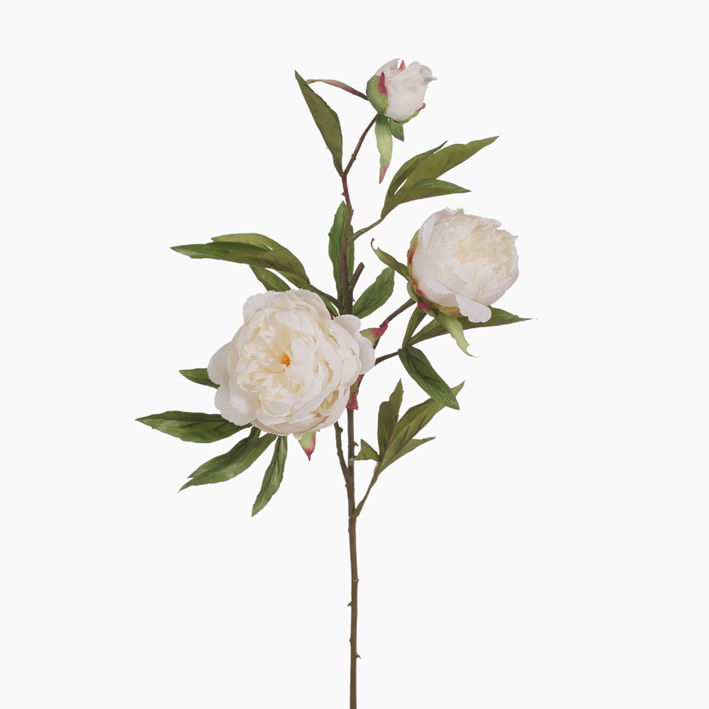 White Peony and Bud - Elegant Floral Decor for Weddings, Home Decor, and Special Events