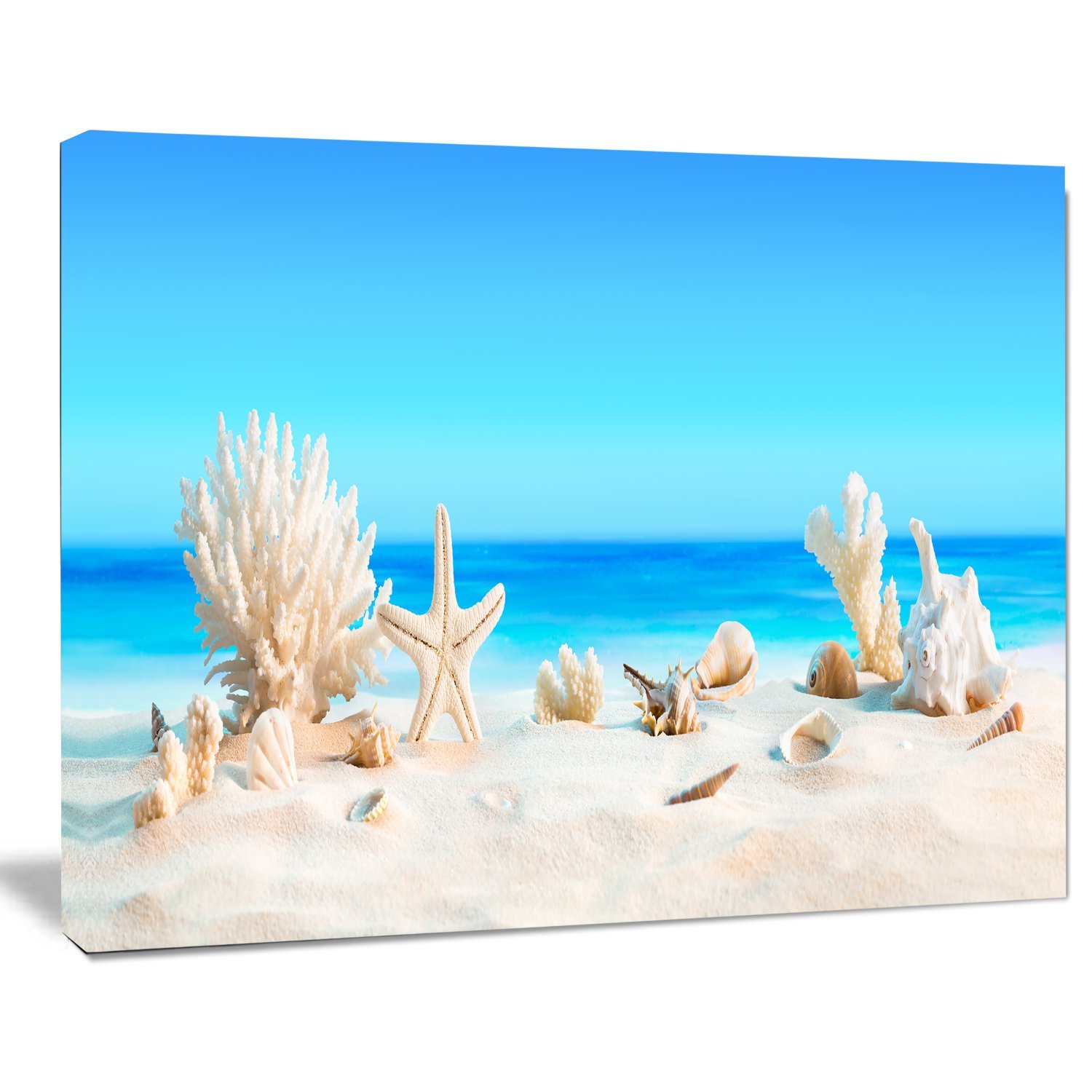 Tropical Beach Seashells Photo Canvas Print - Coastal Wall Art for Living Room, Bedroom & Office Decor