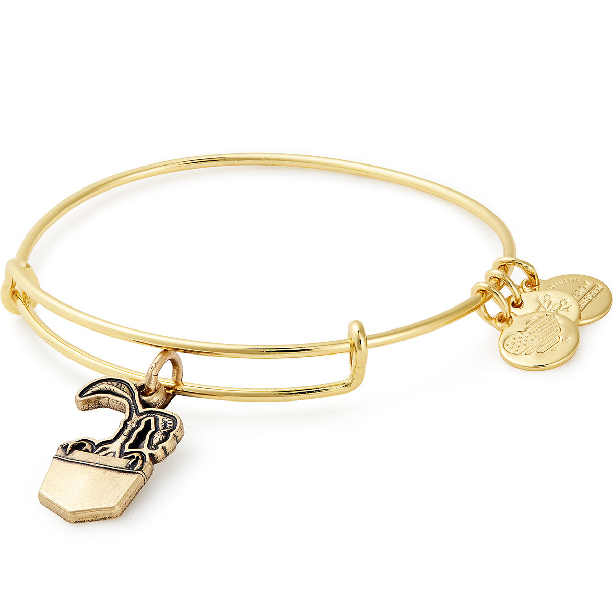 Fantastic Beasts™ Bowtruckle Charm Bangle - Harry Potter Inspired Jewelry for Wizards & Fans | Perfect for Cosplay, Gift Giving & Magical Fashion Accessories