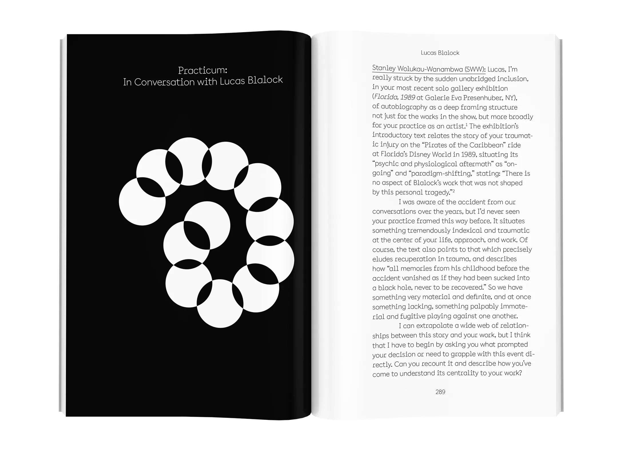 The Lives of Images, Vol. 2: Analogy, Attunement, and Attention - Exploring Visual Culture for Art Lovers, Students & Educators